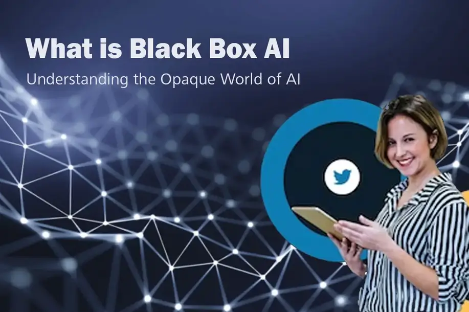 What is BlackBoxAI image