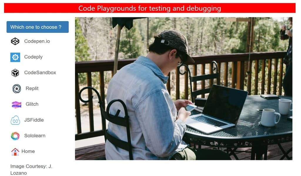 Web development playgrounds