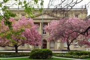 The Great Library at Toronto's historic Osgoode Hall behind the spring blossoms