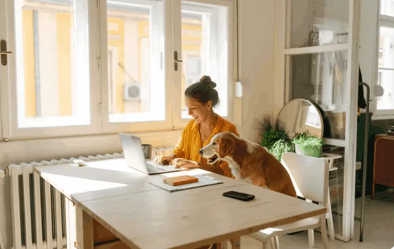 Lady - Dog - And - Laptop image